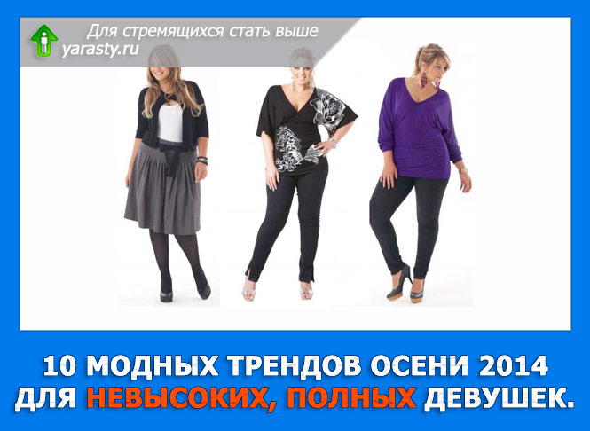 Женская Одежда Для Невысоких